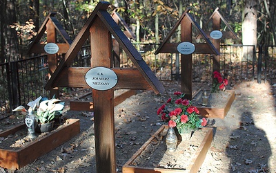 Odnowiony cmentarz wojenny w Borowinie.