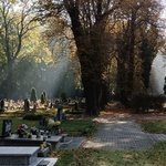 Siemianowicki cmentarz ewangelicki - GALERIA