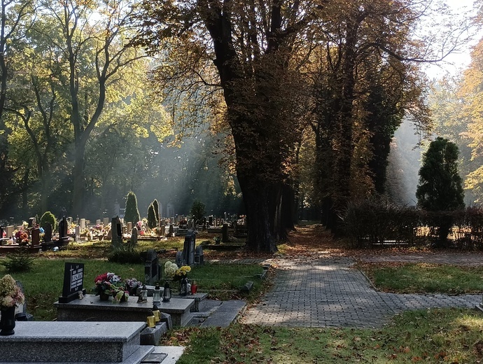 Siemianowicki cmentarz ewangelicki - GALERIA