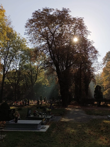Siemianowicki cmentarz ewangelicki - GALERIA