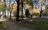 Siemianowicki cmentarz ewangelicki - GALERIA