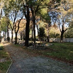 Siemianowicki cmentarz ewangelicki - GALERIA