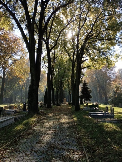 Siemianowicki cmentarz ewangelicki - GALERIA