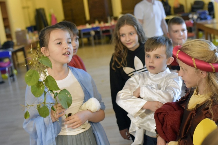 Oazowe niebo w świdnickiej katedrze