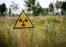 Müller: Polska planuje kilka elektrowni jądrowych