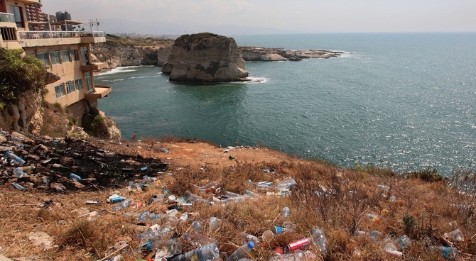 Wieloryby pochłaniają codziennie miliony cząstek mikroplastiku