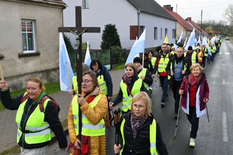 Pielgrzymka w pierwszą sobotę miesiąca z Międzyrzecza do Rokitna