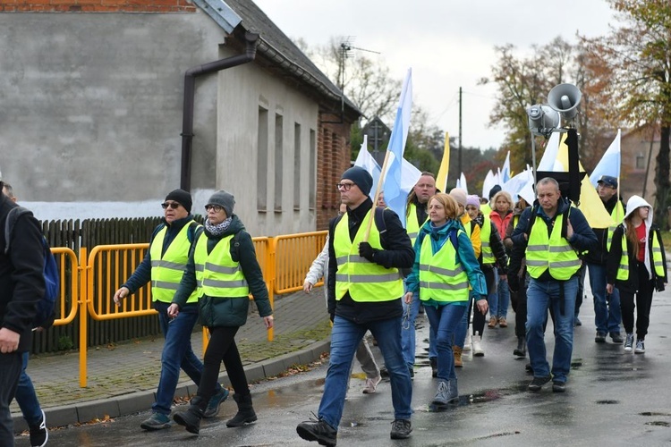 Pielgrzymka w pierwszą sobotę miesiąca z Międzyrzecza do Rokitna