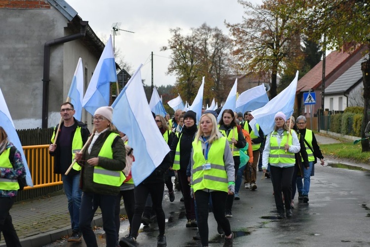 Pielgrzymka w pierwszą sobotę miesiąca z Międzyrzecza do Rokitna