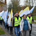 Pielgrzymka w pierwszą sobotę miesiąca z Międzyrzecza do Rokitna