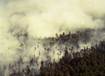 Czwarty dzień ogień trawi lasy na granicy z Grecją; front pożaru ma 20 km