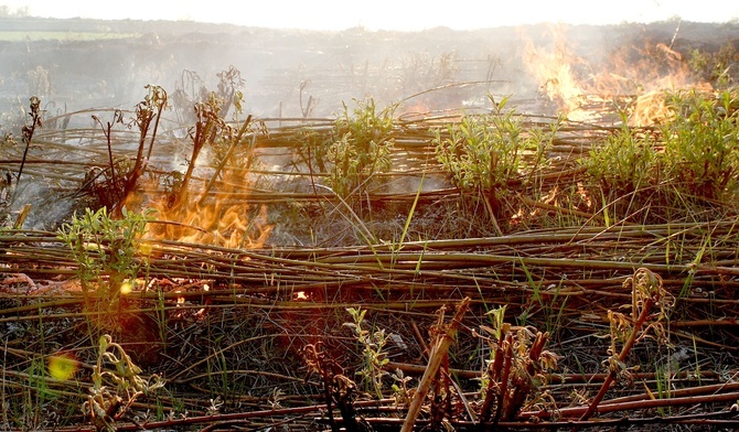 Nadchodzi dzień jak piec