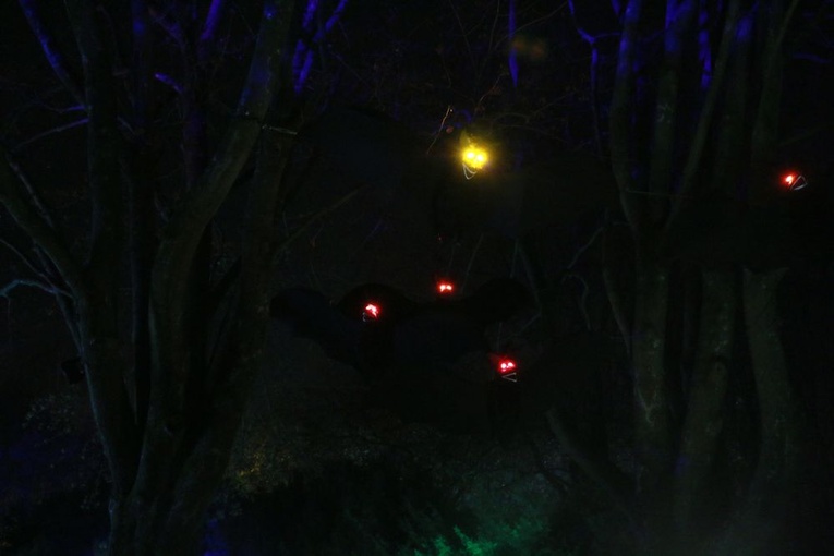 Lumina Park w Lublinie