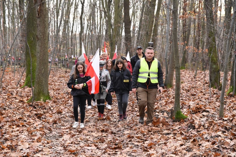 Z Brzeska do Wokowic