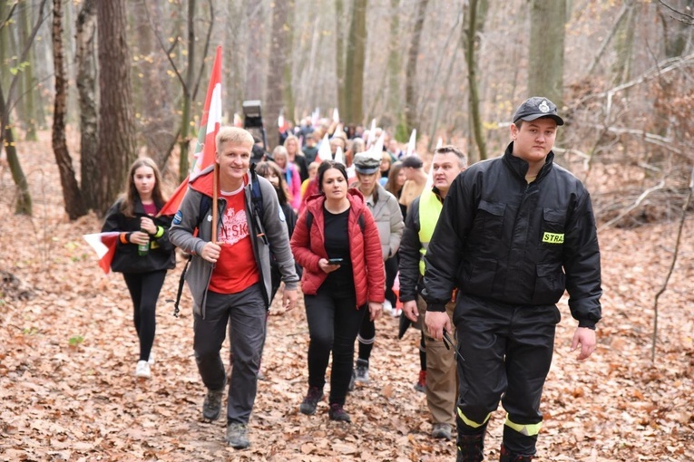 Z Brzeska do Wokowic