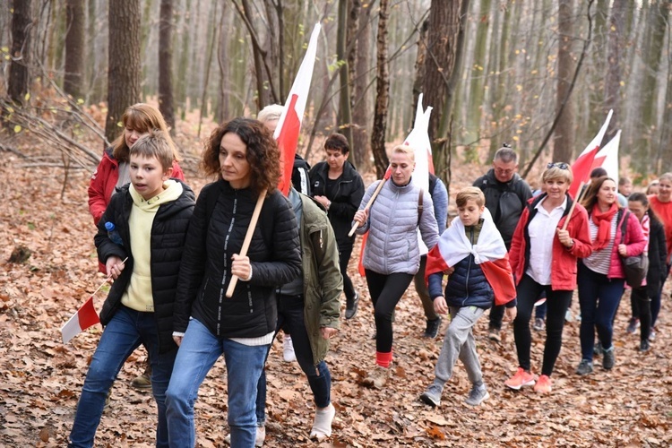 Z Brzeska do Wokowic