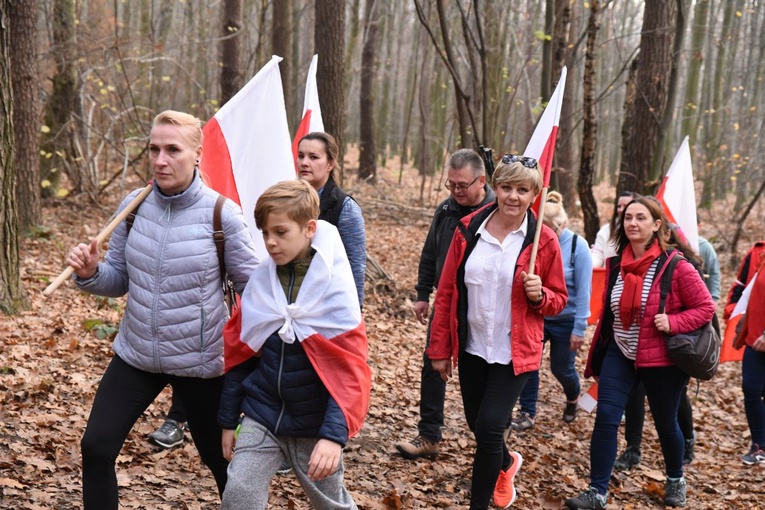 Z Brzeska do Wokowic