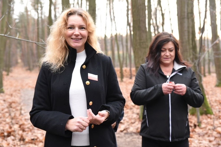 Z Brzeska do Wokowic