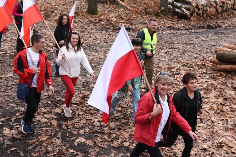 Z Brzeska do Wokowic