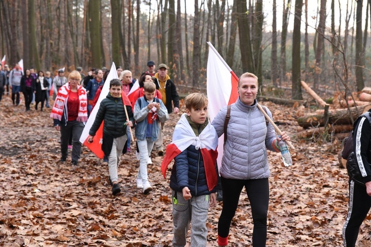 Z Brzeska do Wokowic