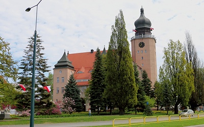 	Czy przedstawione argumenty wystarczą,  by przekonać ludzi  do składania podpisów?