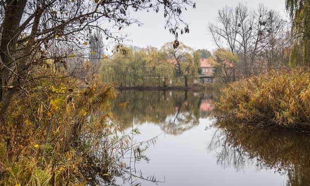 Katowice. "Taras z leżakami". Staw Kozubek przejdzie metamorfozę