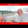 November 16 2022 General Audience Pope Francis