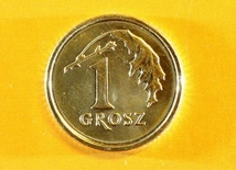 Ofiara