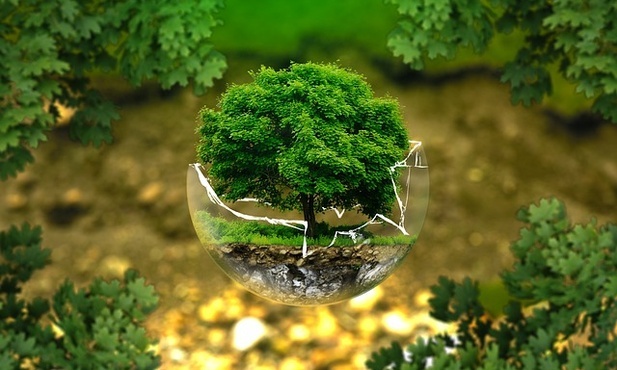 Zakończenie COP27: czy uda się osiągnąć sprawiedliwość klimatyczną?