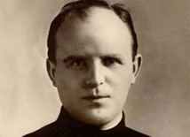 Skrzydła rozwiązane do lotu