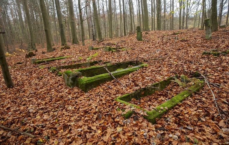 Cmentarze w Donatowie