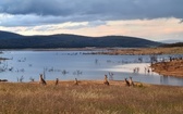 Australia - galeria