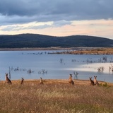 Australia - galeria