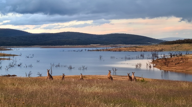 Australia - galeria