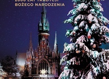 ks. Józef Naumowicz
Choinka
Biały Kruk 
Kraków 2022
ss. 240
