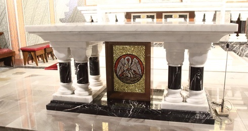 Z pelikanem karmiącym pisklęta