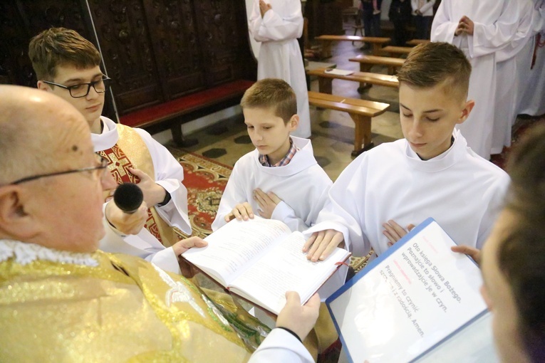 Lektorzy w Barcicach