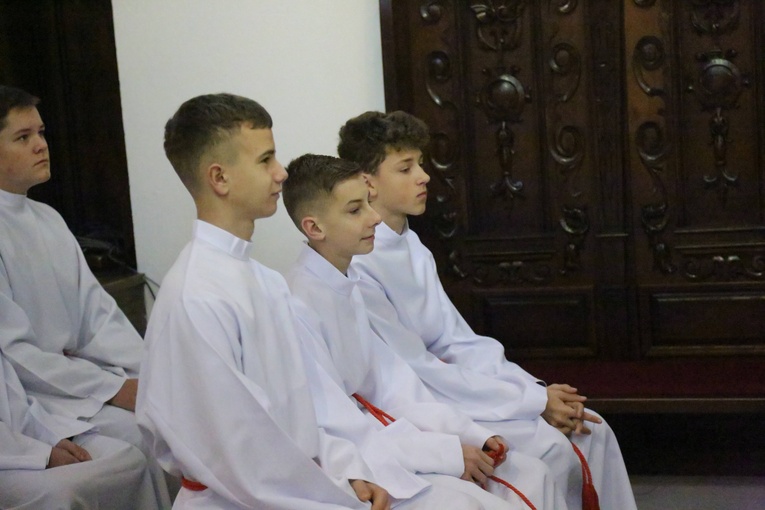 Lektorzy w Barcicach