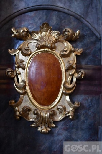 Paradyż w obiektywie Gościa Niedzielnego