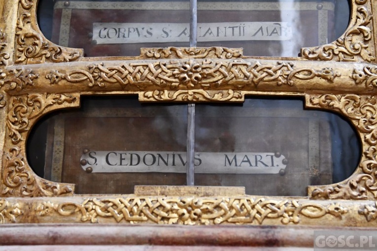 Paradyż w obiektywie Gościa Niedzielnego