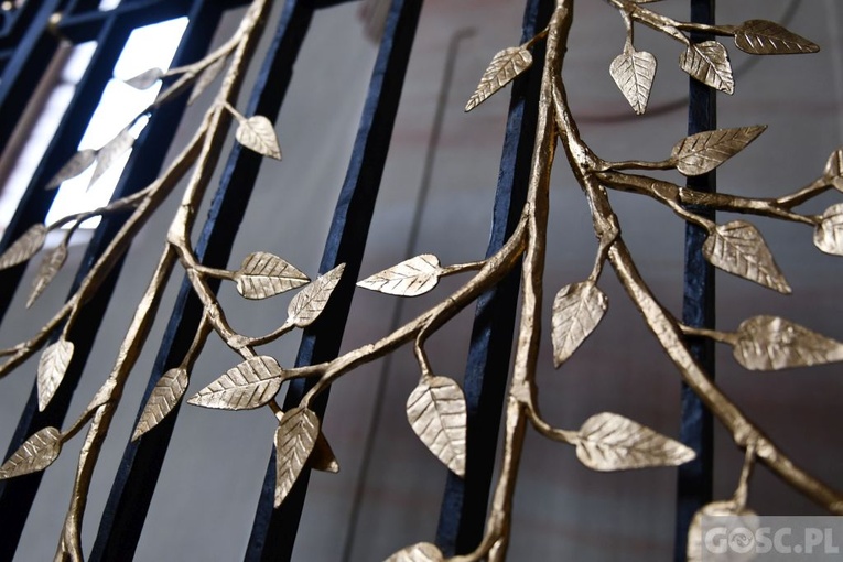 Paradyż w obiektywie Gościa Niedzielnego