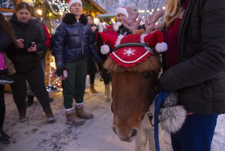 Przedświąteczne spotkanie w Karlinie