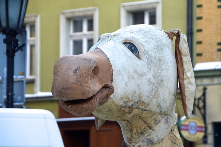 Gigantyczne jasełka w świdnickim Rynku
