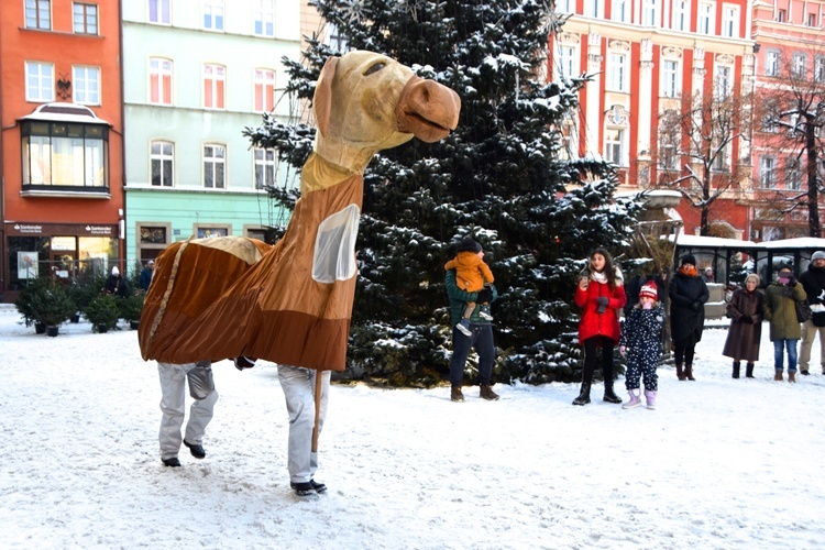 Gigantyczne jasełka w świdnickim Rynku