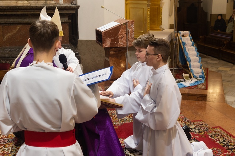 Tarnowska katedra. Błogosławieństwo lektorów