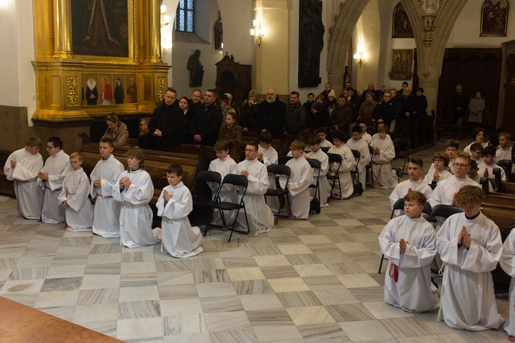 Tarnowska katedra. Błogosławieństwo lektorów