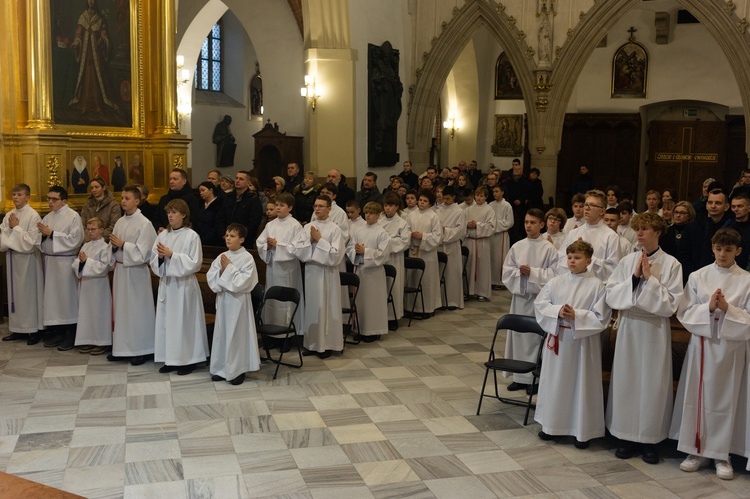 Tarnowska katedra. Błogosławieństwo lektorów