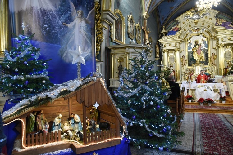 Renowacja w Krzyżanowicach