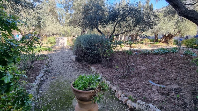 Pielgrzymka do Ziemi Świętej z bp. Adamem Bałabuchem