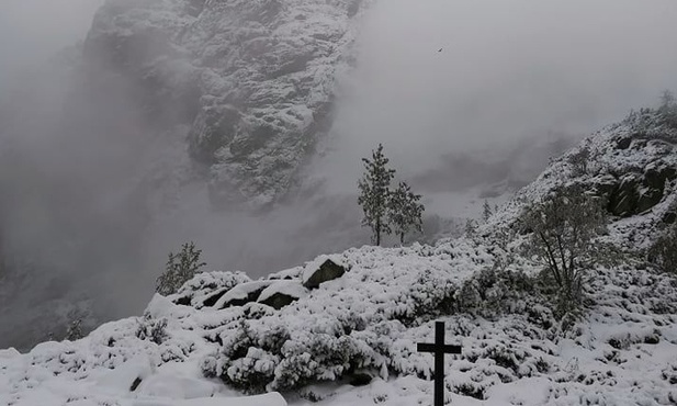 Droga Krzyżowa  oczyma osoby skrzywdzonej